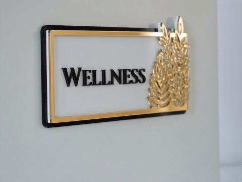 Tabliczka na Drzwi WELLNESS Luxury Gold 3D | Elegancki Szyld Przydrzwiowy